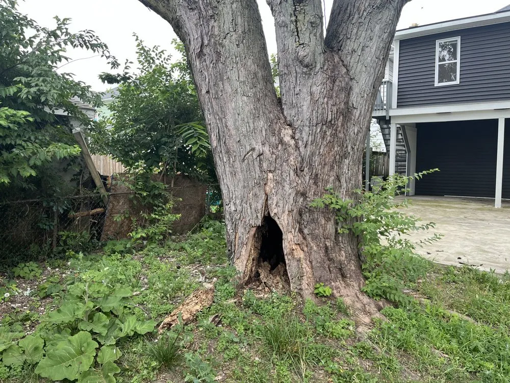 Custom lawn mowing service for beautiful yards across Grove City, OH - Hudson Landscaping and Tree Service