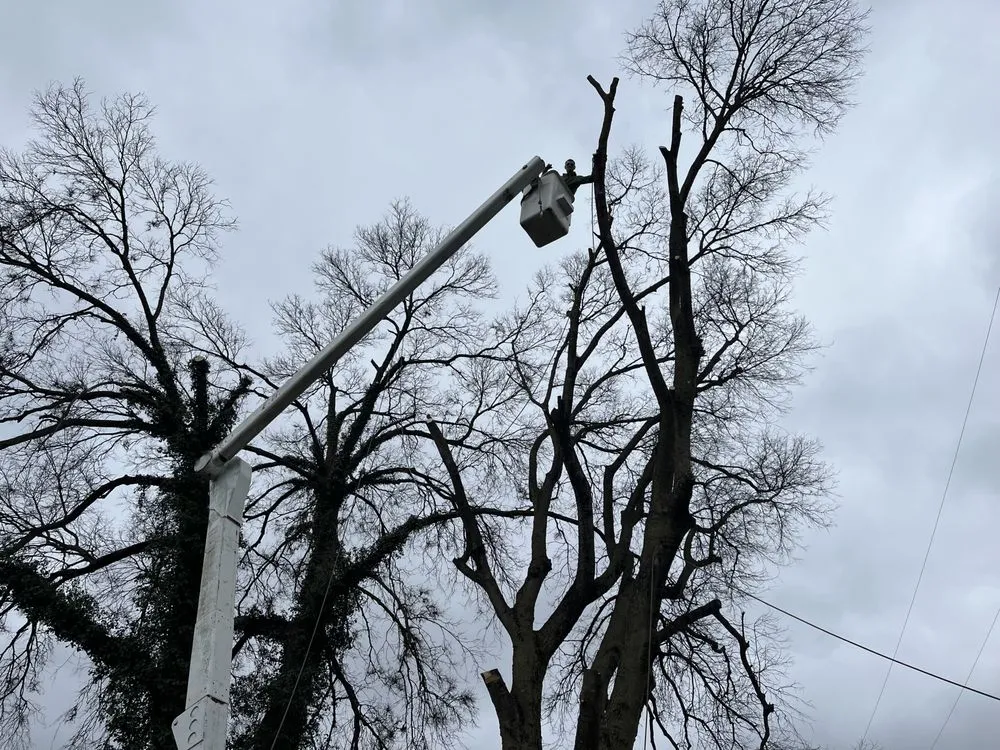 Reliable outdoor landscaping in Grove City, OH by Hudson Landscaping and Tree Service