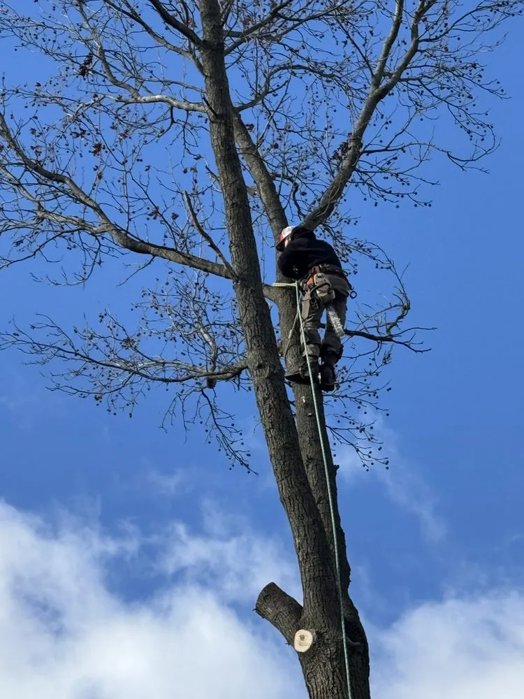 Affordable garden landscaping in Grove City, OH - Hudson Landscaping and Tree Service