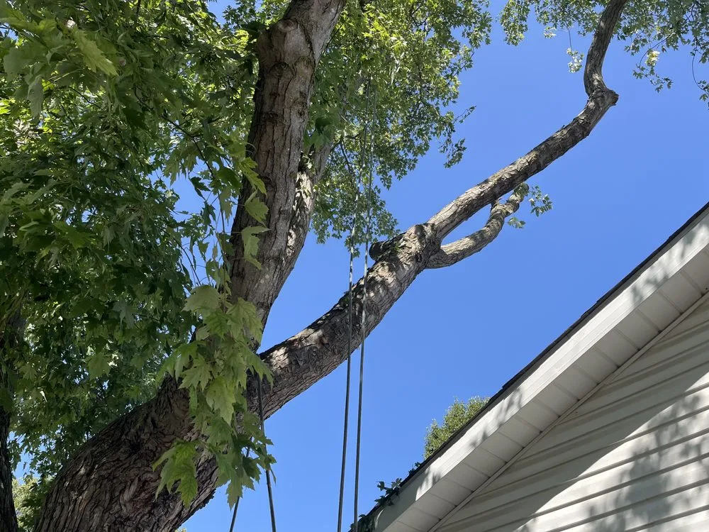 Top-rated landscaping services near you in Grove City, OH by Hudson Landscaping and Tree Service