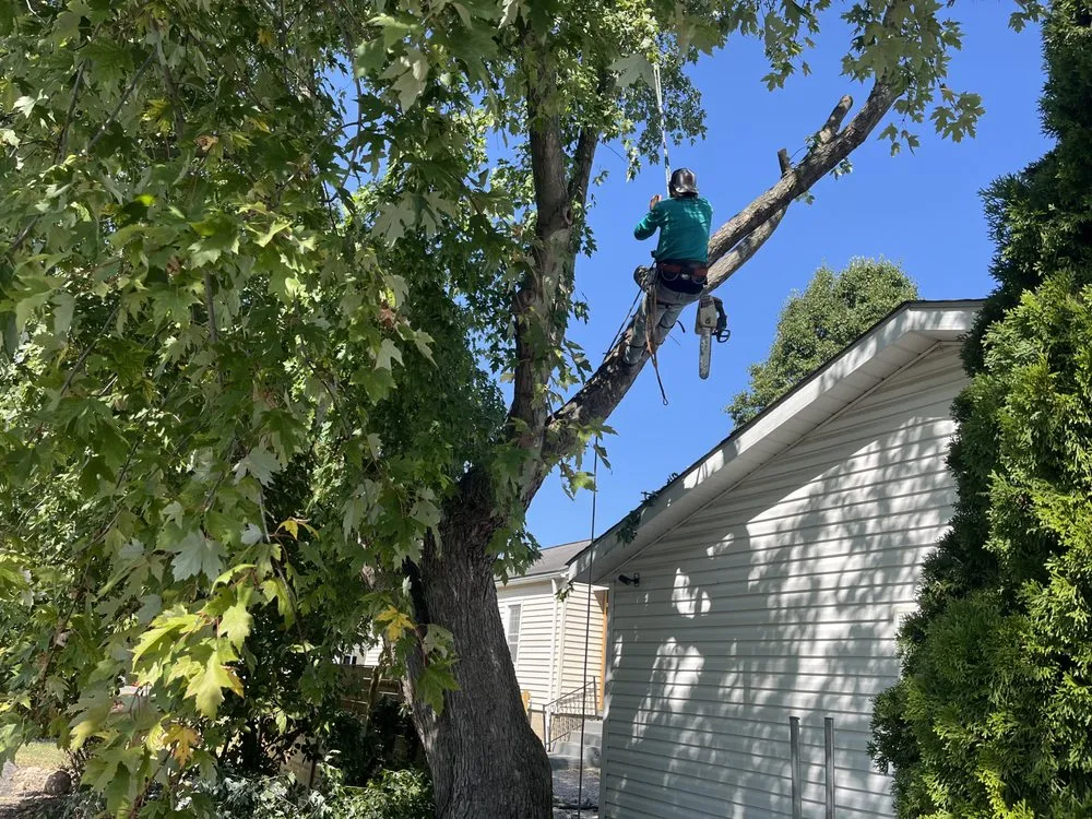 Affordable yard maintenance in Grove City, OH - Hudson Landscaping and Tree Service