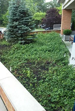 Top-rated landscaping services in Brick, NJ by Hudson Landscaping