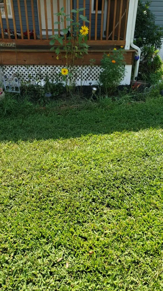 Affordable garden landscaping for year-round maintenance in Georgetown, DE by Hudson Landscaping