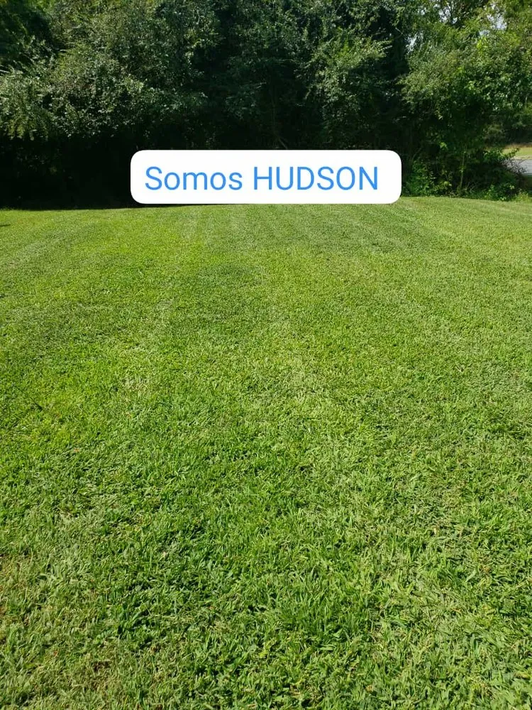 Expert landscape design for beautiful yards in Georgetown, DE by Hudson Landscaping