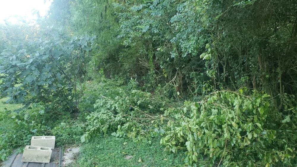 Top-rated outdoor landscaping experts serving Georgetown, DE - Hudson Landscaping