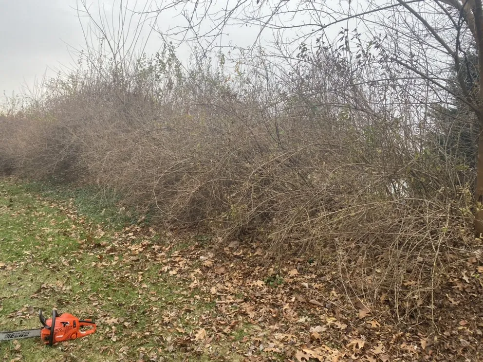 Expert landscape installation for outdoor upgrades across New Market, MD - Hudson Landscaping