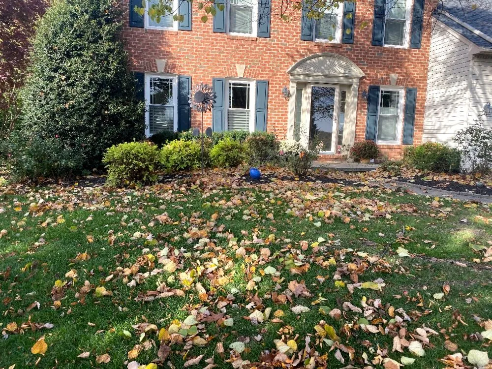 Reliable yard maintenance for outdoor upgrades in New Market, MD by Hudson Landscaping