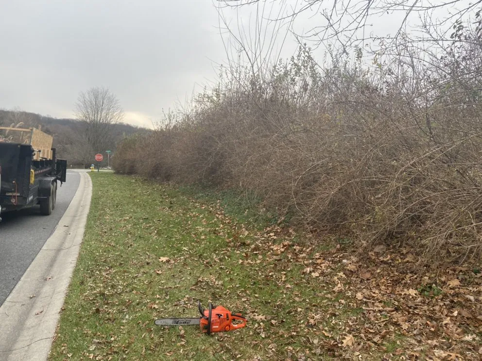 Reliable yard cleanup service in New Market, MD - Hudson Landscaping