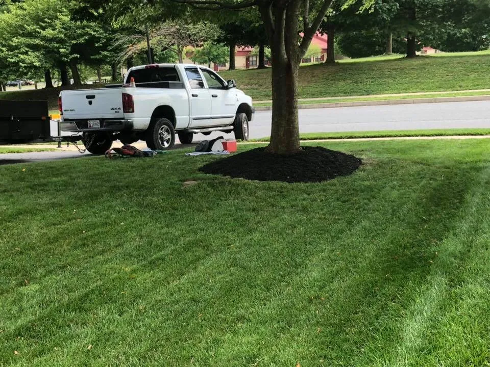 Custom yard cleanup service for residential properties in New Market, MD by Hudson Landscaping