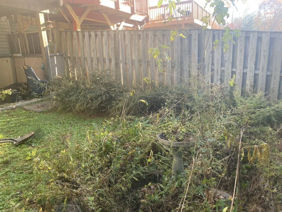 Top-rated yard cleanup service near you in New Market, MD by Hudson Landscaping