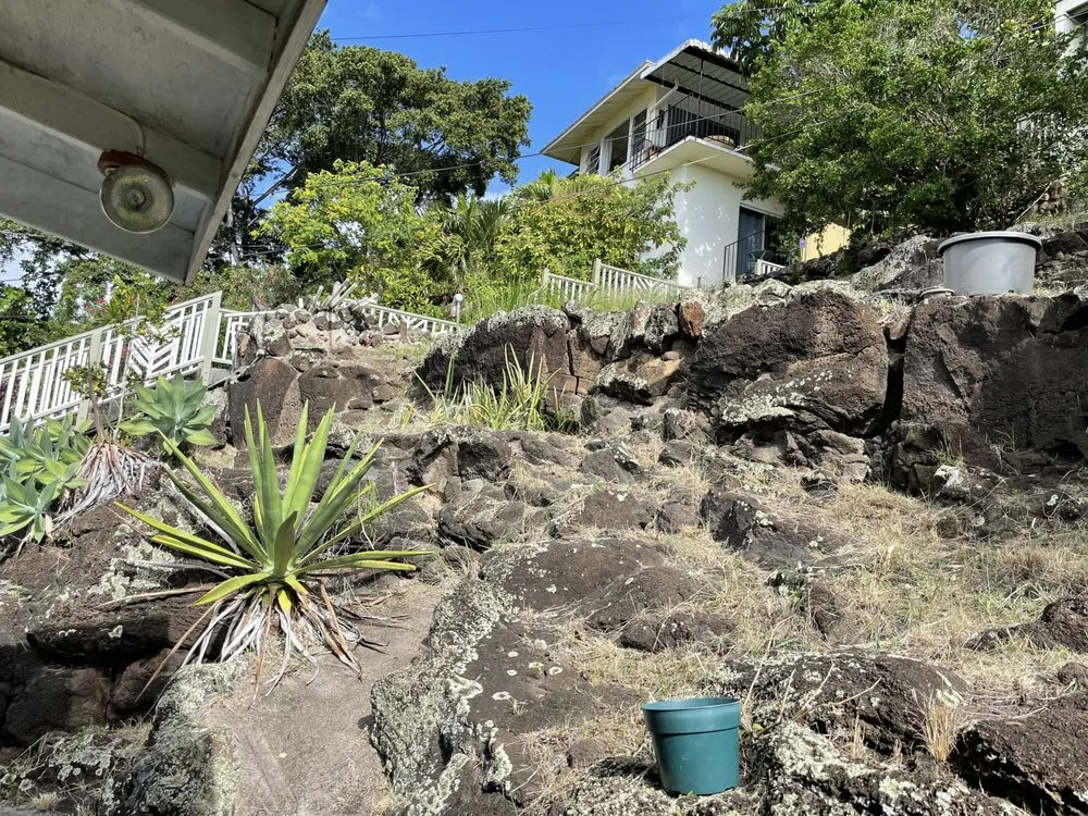 Top-rated yard cleanup service in Aiea, HI - Hudson Lawn Care Hawaii