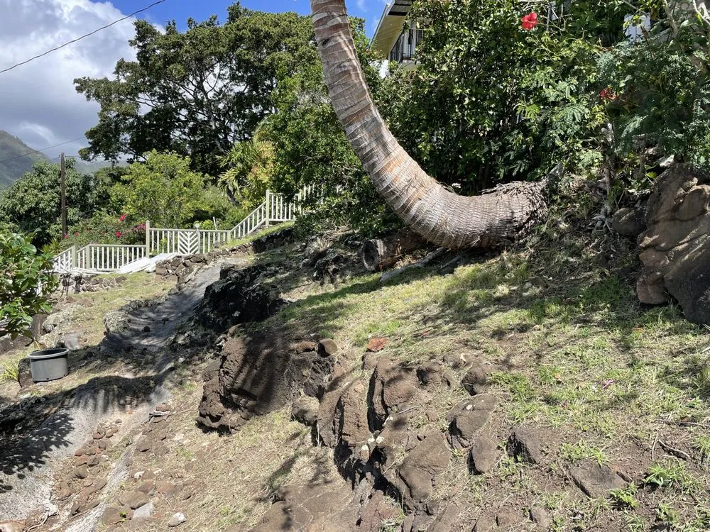 Reliable landscape design in Aiea, HI - Hudson Lawn Care Hawaii