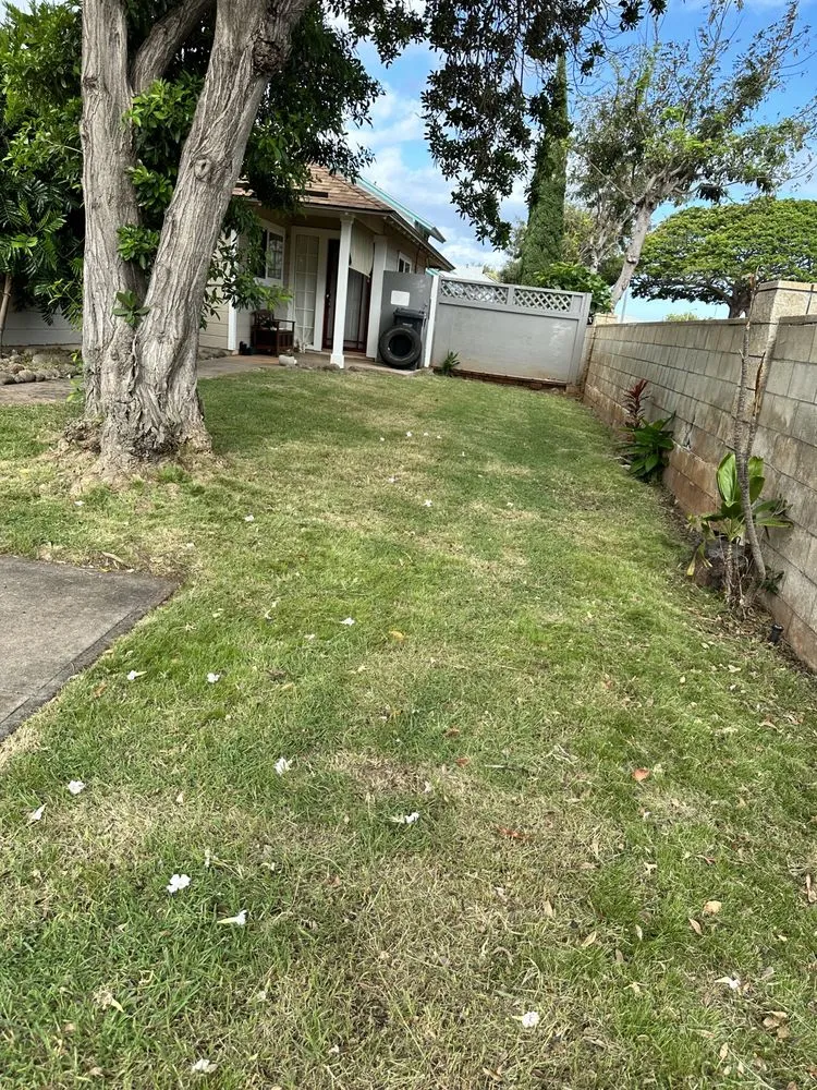 Affordable lawn care service in Aiea, HI by Hudson Lawn Care Hawaii