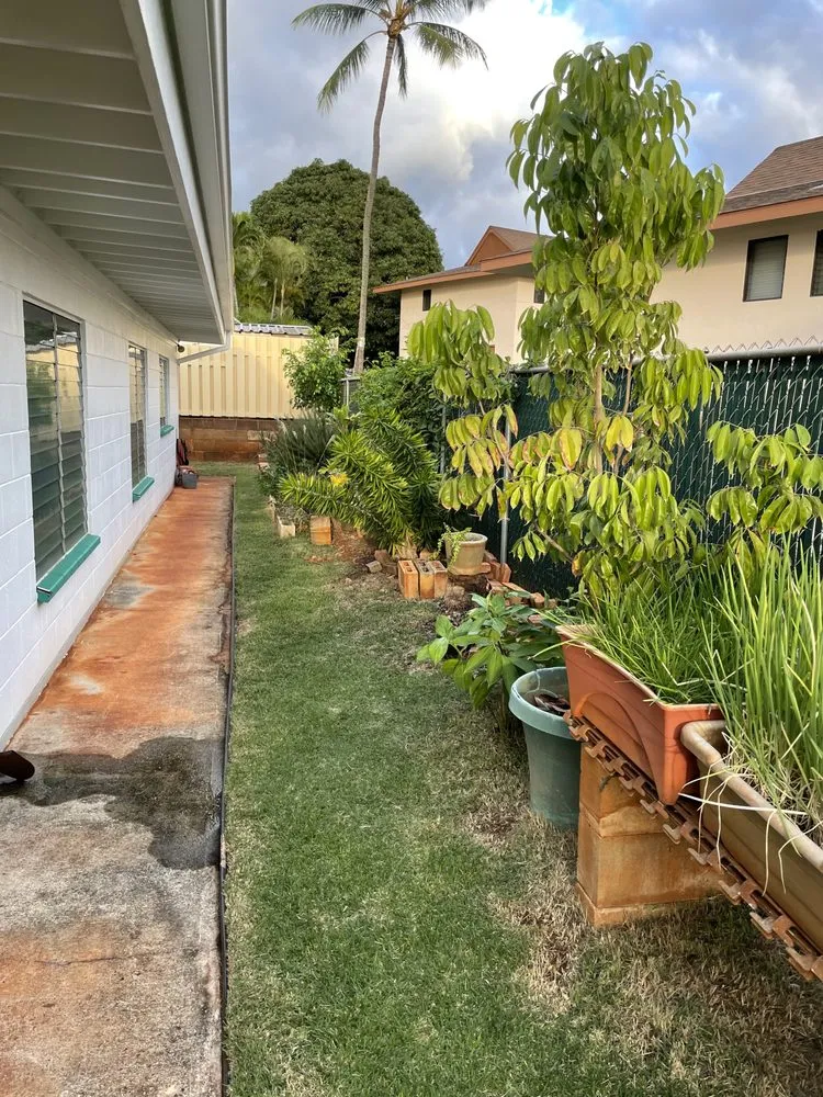 Expert landscaping services for homes across Aiea, HI - Hudson Lawn Care Hawaii