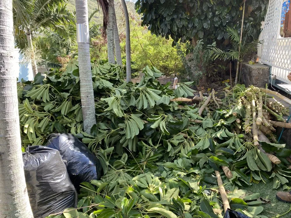 Trusted landscape design for residential properties in Aiea, HI by Hudson Lawn Care Hawaii