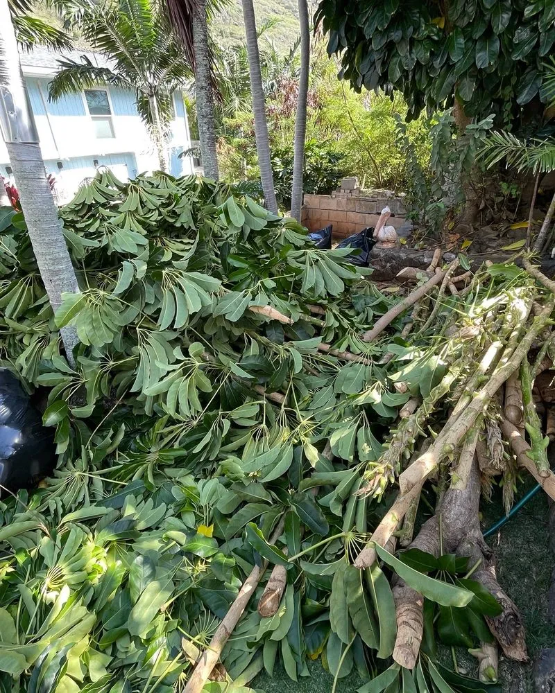 Custom yard maintenance for outdoor upgrades in Aiea, HI by Hudson Lawn Care Hawaii