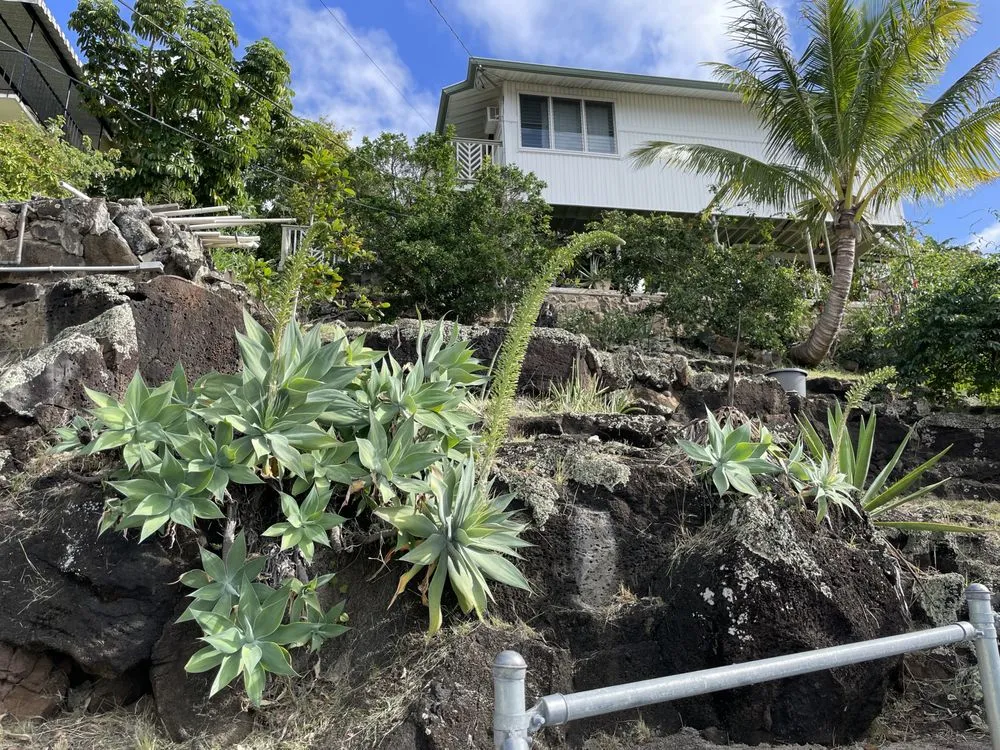 Local landscaping services in Aiea, HI by Hudson Lawn Care Hawaii