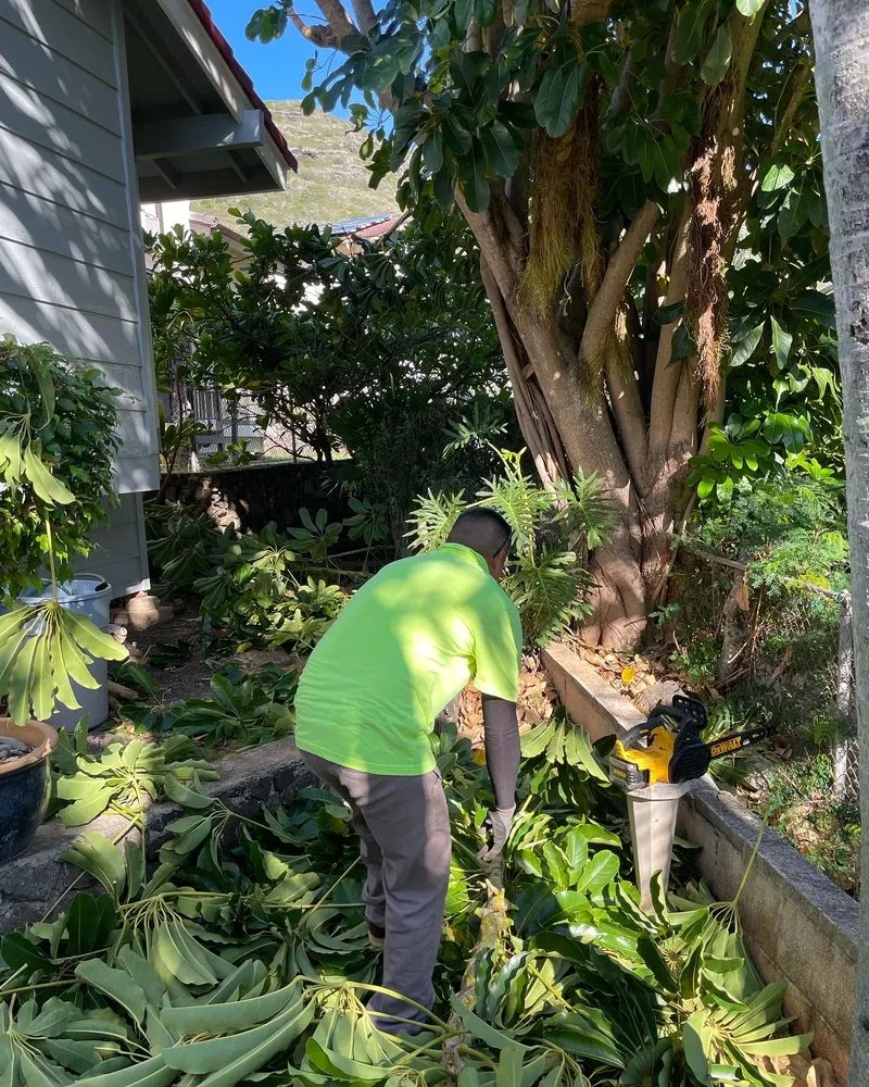 Local lawn care service in Aiea, HI by Hudson Lawn Care Hawaii