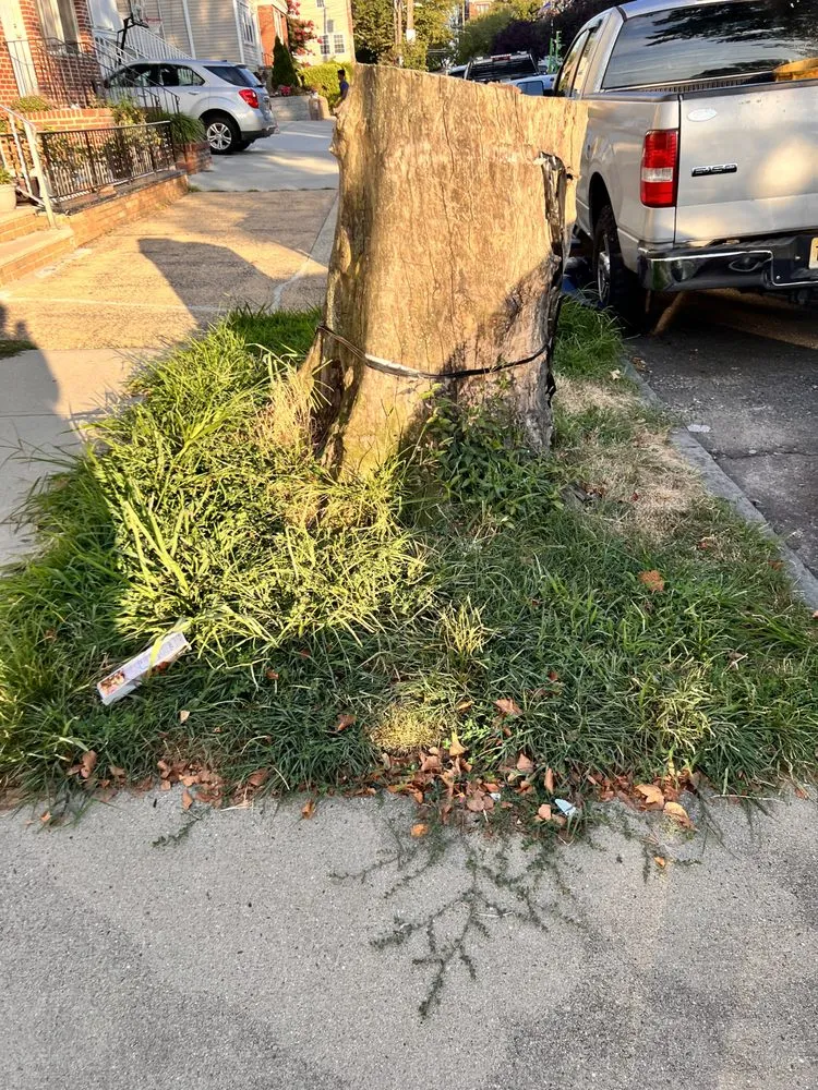 Expert lawn care service experts serving Bayonne, NJ - Hudson Lawn Enforcement