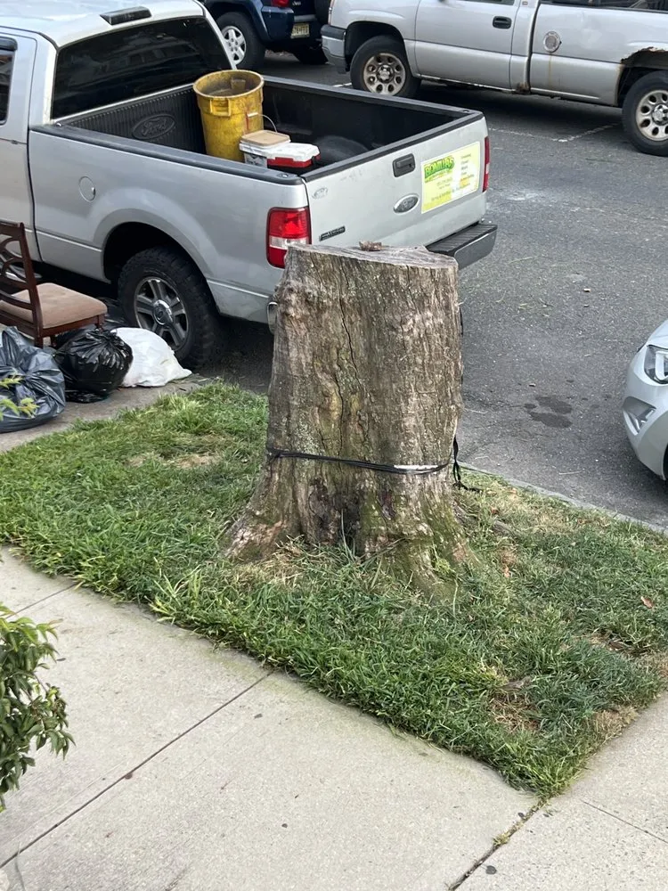 Top-rated landscaping services with custom design in Bayonne, NJ by Hudson Lawn Enforcement