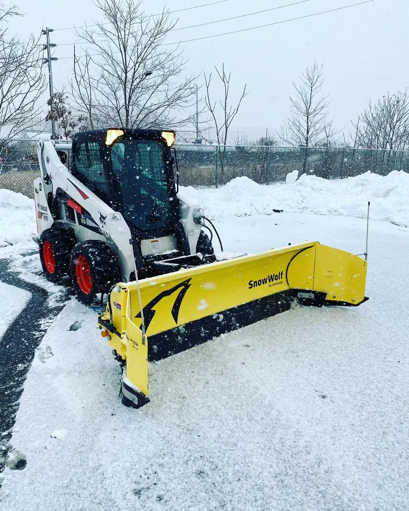 Professional garden landscaping for beautiful yards in Bayonne, NJ by Hudson Lawn Enforcement