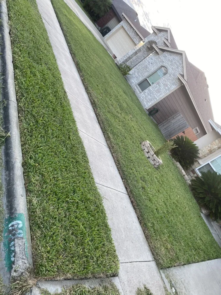 Trusted yard maintenance in Corp Christi, TX by Hudson Lawn Service