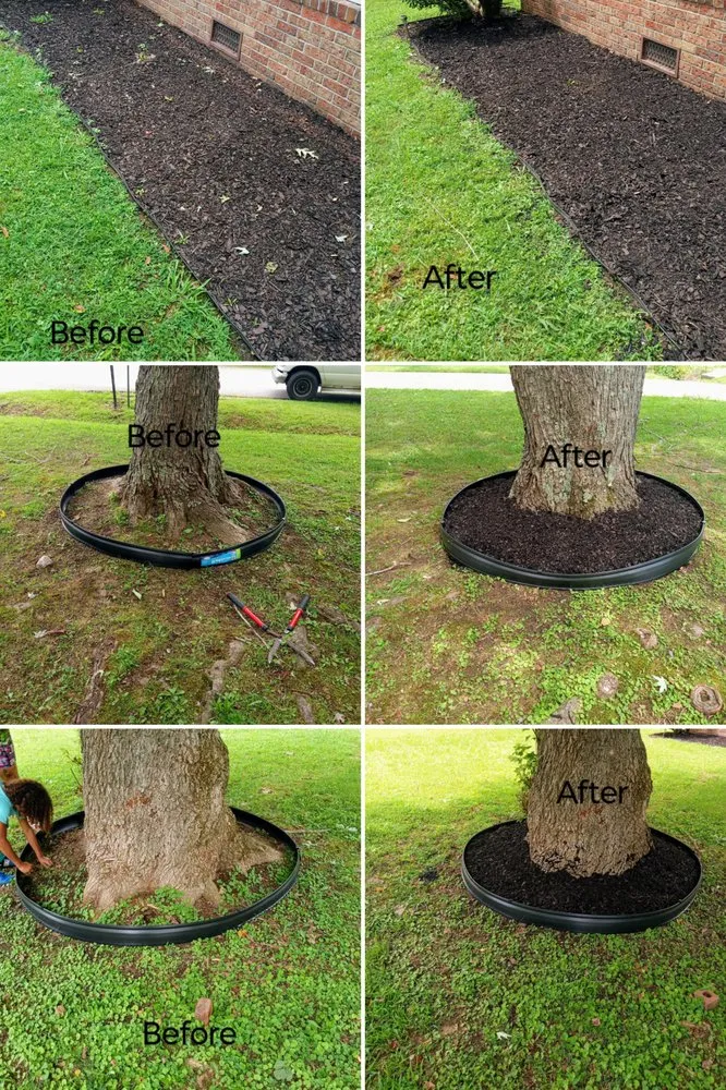 Professional residential landscaping in Jackson, TN - Hudson Pro Services