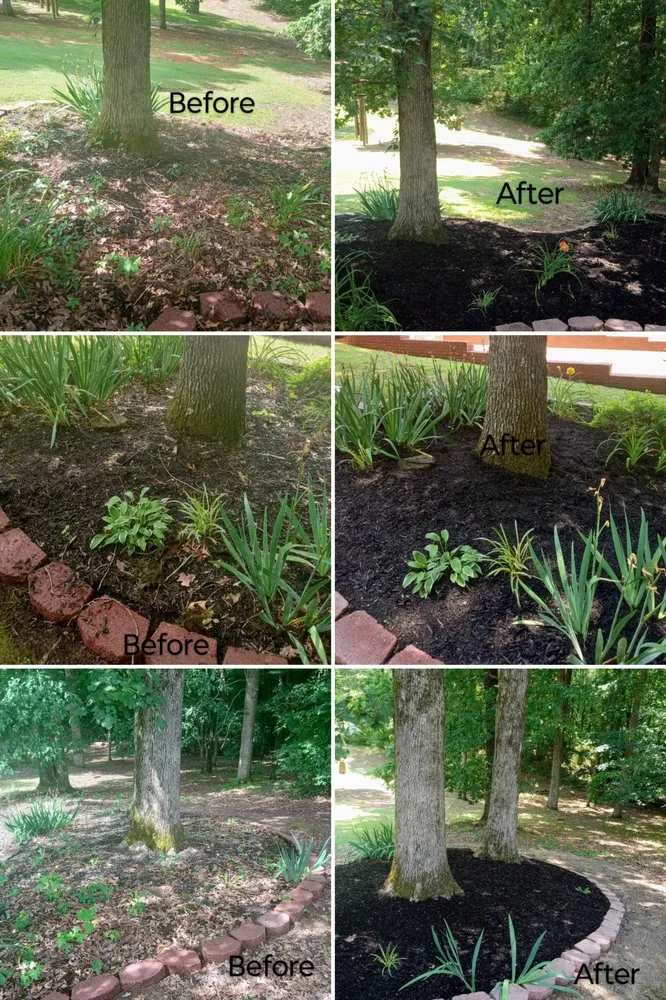 Local residential landscaping in Jackson, TN - Hudson Pro Services
