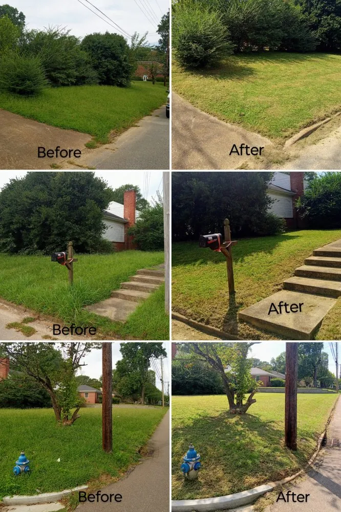 Local landscape installation for year-round maintenance in Jackson, TN by Hudson Pro Services