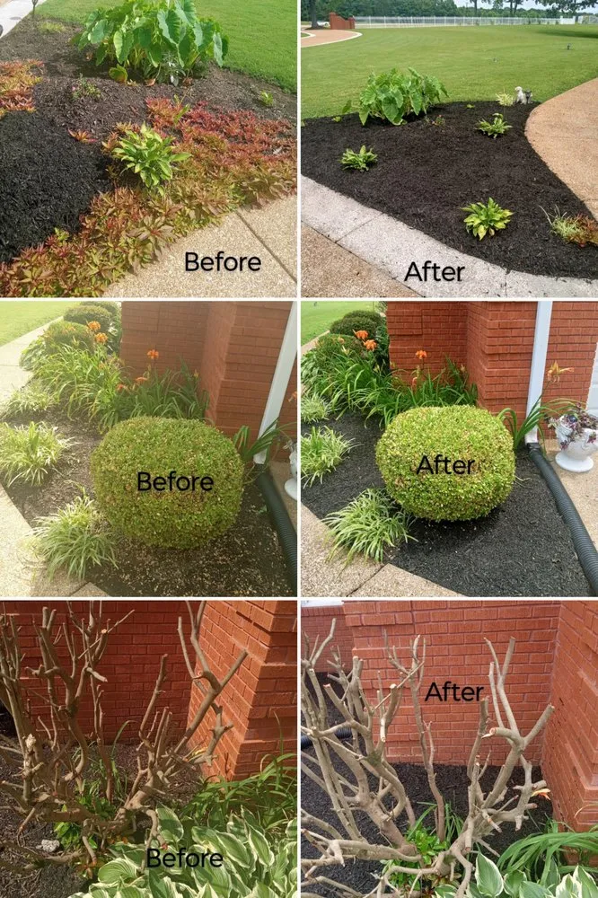 Trusted yard maintenance experts serving Jackson, TN - Hudson Pro Services