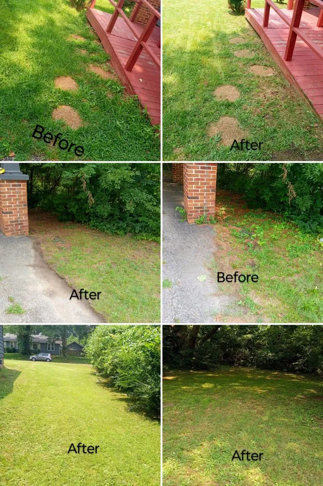 Local yard maintenance experts serving Jackson, TN - Hudson Pro Services