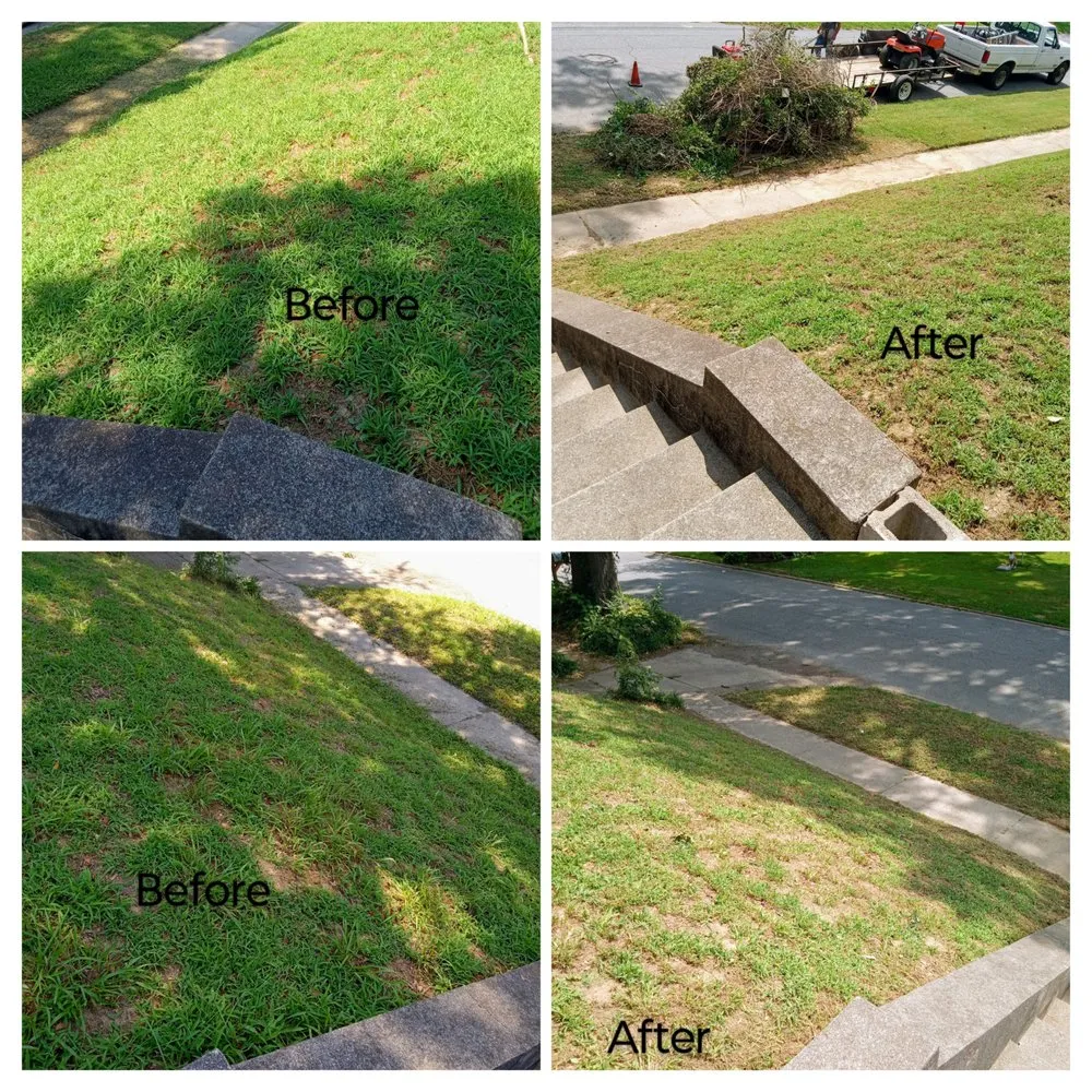 Reliable residential landscaping in Jackson, TN - Hudson Pro Services