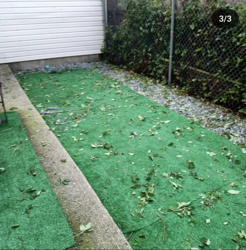 Local yard maintenance in New York, NY - Hudson Shine Cleaning