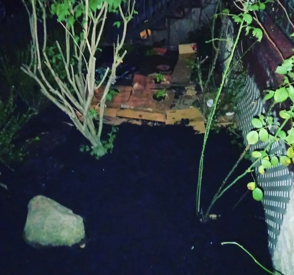 Expert outdoor landscaping in New York, NY by Hudson Shine Cleaning