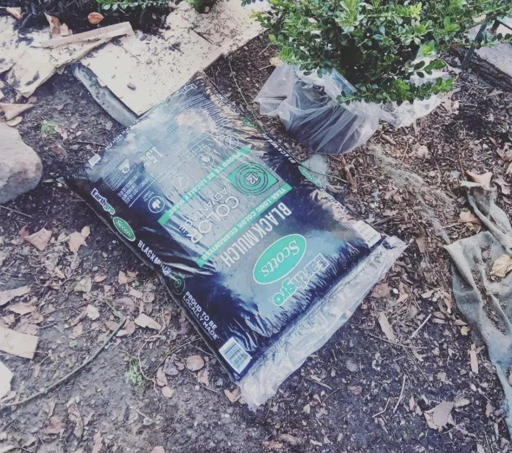 Top-rated landscape design with custom design in New York, NY by Hudson Shine Cleaning