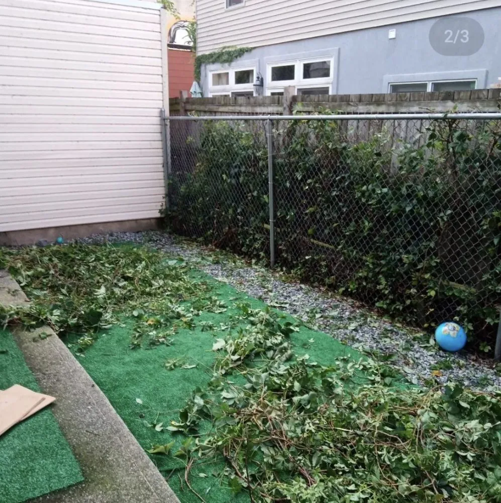 Expert outdoor landscaping near you in New York, NY by Hudson Shine Cleaning