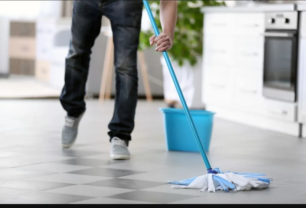 Expert yard maintenance in New York, NY by Hudson Shine Cleaning