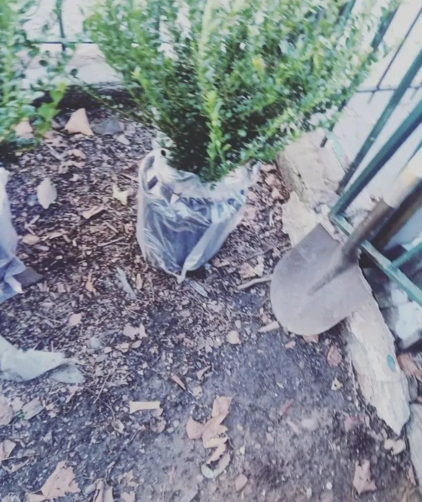 Top-rated yard cleanup service with custom design across New York, NY - Hudson Shine Cleaning