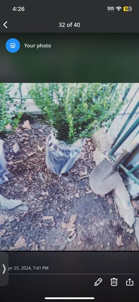 Local residential landscaping for homes in New York, NY by Hudson Shine Lawn