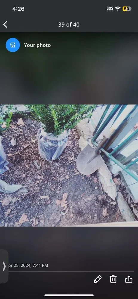 Affordable landscape design in New York, NY by Hudson Shine Lawn