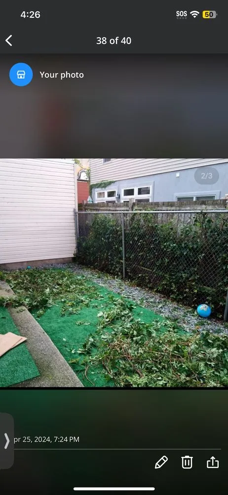 Custom yard cleanup service for residential properties in New York, NY by Hudson Shine Lawn
