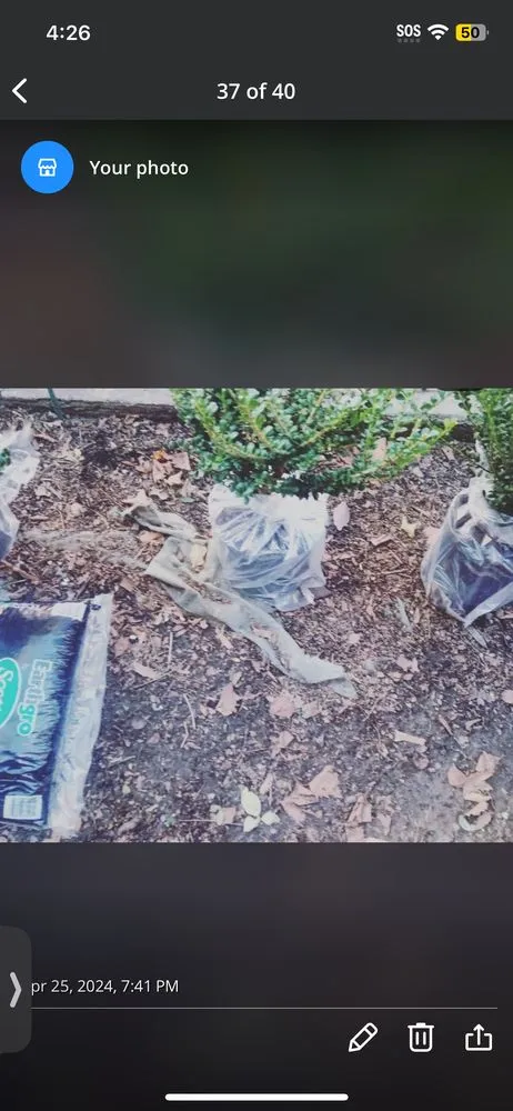 Trusted outdoor landscaping in New York, NY - Hudson Shine Lawn