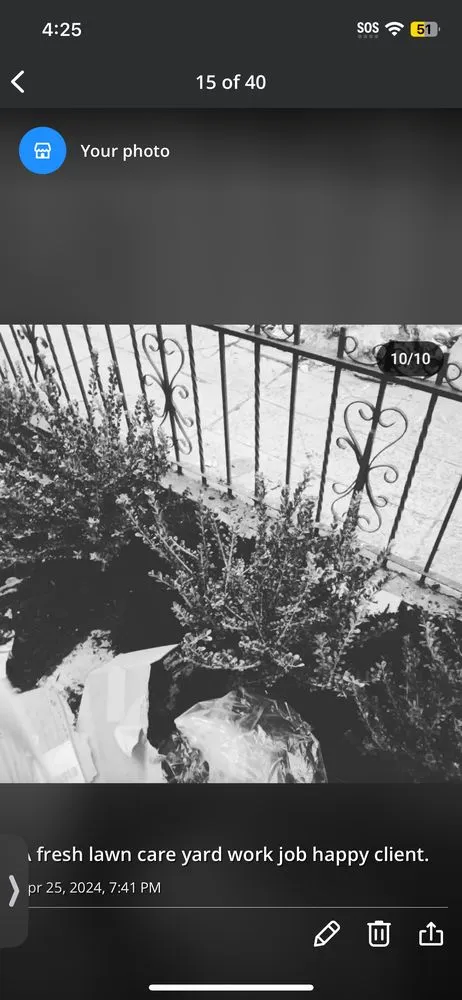 Top-rated landscape installation for homes in New York, NY by Hudson Shine Lawn