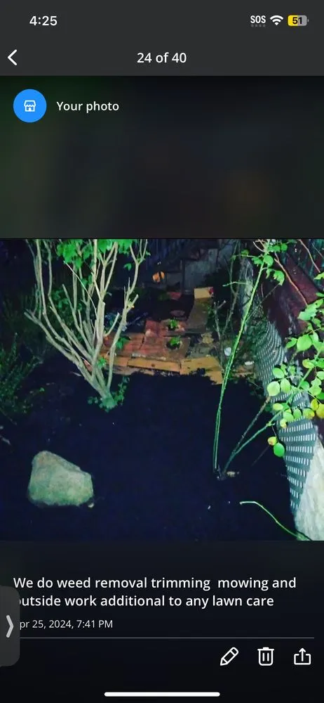 Professional landscaping services for year-round maintenance across New York, NY - Hudson Shine Lawn