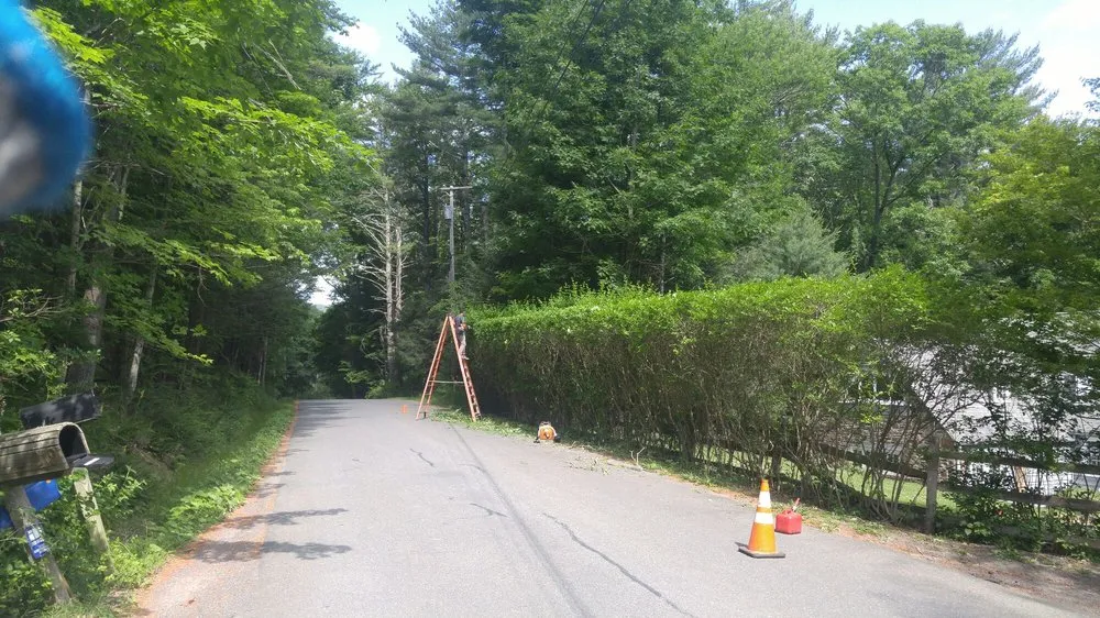 Trusted yard maintenance in Lake Katrine, NY by Hudson Valley Landscaping