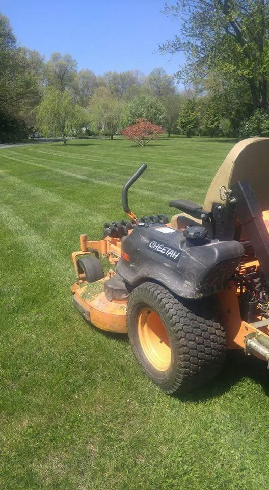 Reliable yard cleanup service for outdoor upgrades in Lake Katrine, NY by Hudson Valley Landscaping