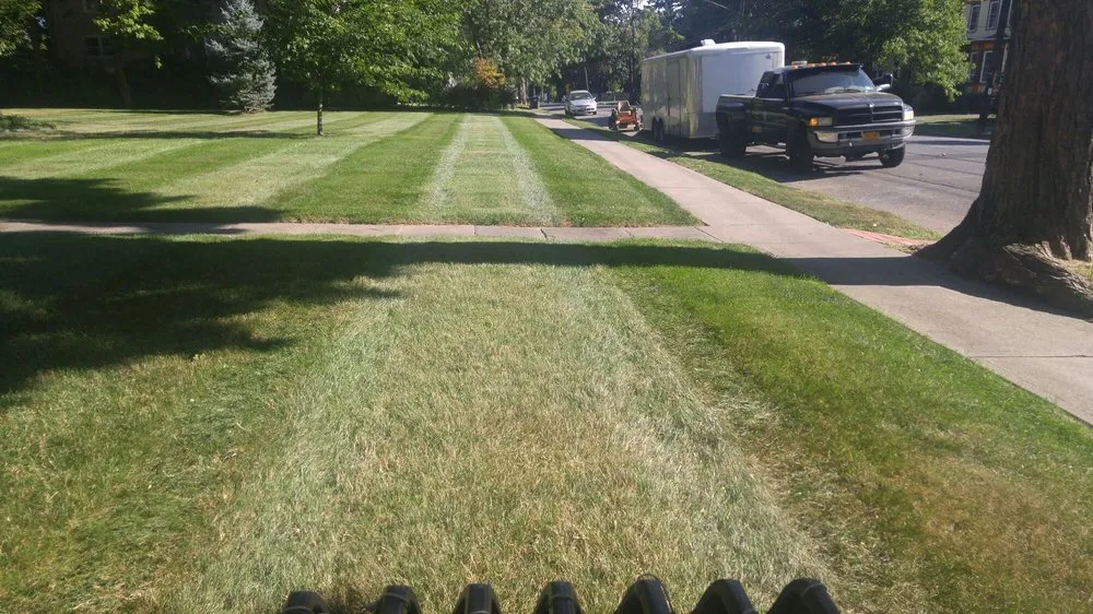 Local yard cleanup service experts serving Lake Katrine, NY - Hudson Valley Landscaping