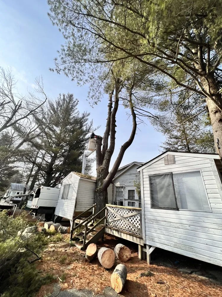 Custom residential landscaping in Middletown, NY by Hudson Valley Tree Removal