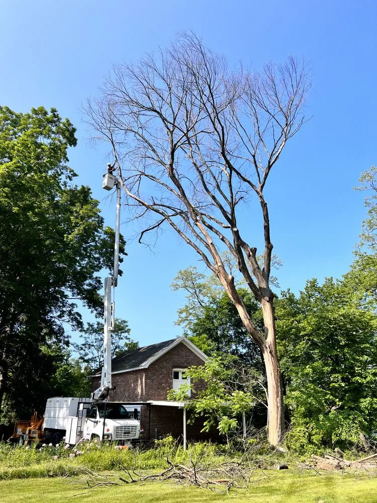 Expert residential landscaping for year-round maintenance across Middletown, NY - Hudson Valley Tree Removal