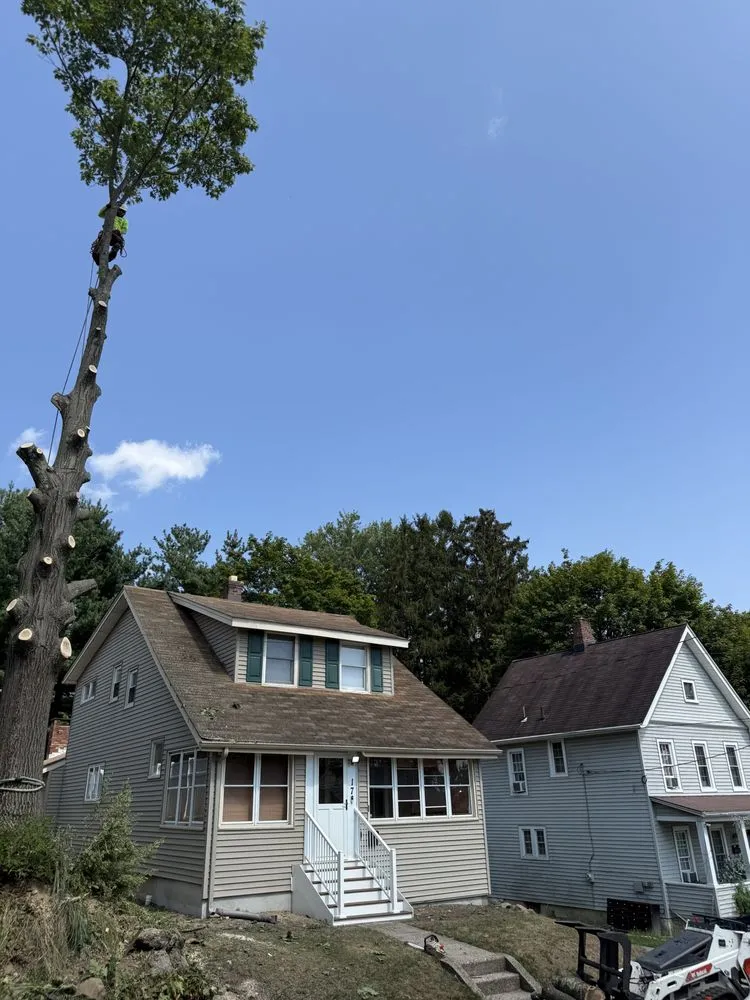 Reliable yard maintenance experts serving Middletown, NY - Hudson Valley Tree Removal